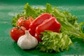 Vegetables - tomatoes, garlic, red bell pepper, lettuce leaves Royalty Free Stock Photo